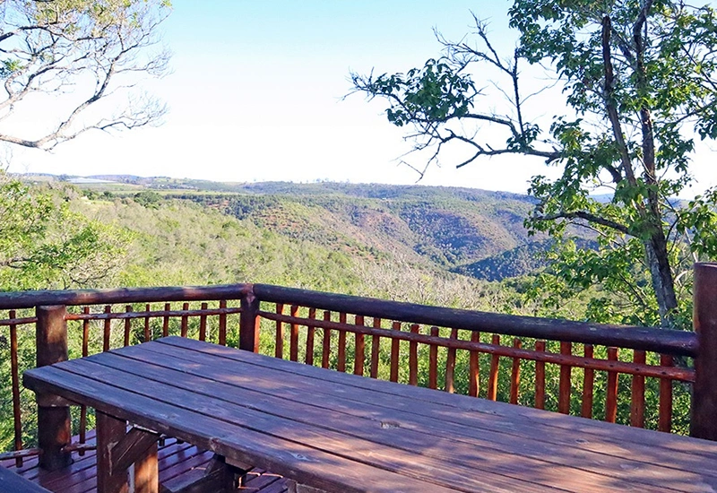 001 View