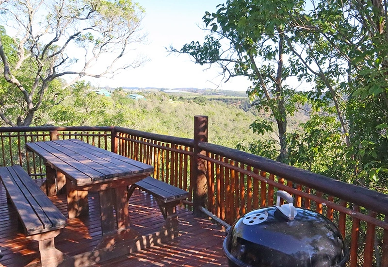 002 Forest Braai