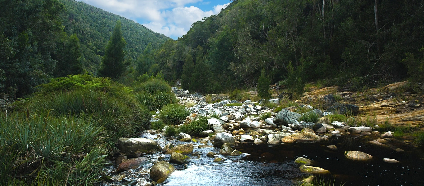 Leave The City Behind & Reconnect With Nature