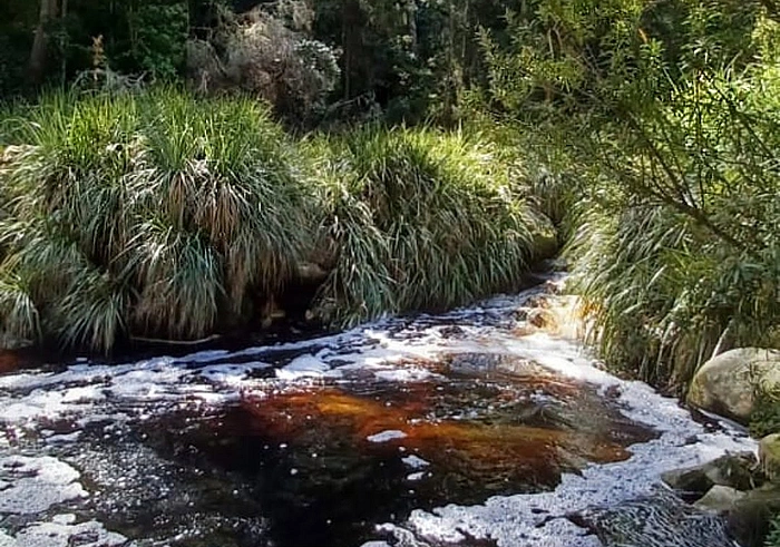 Karatara River