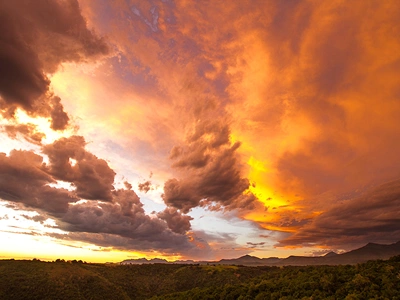 Teniqua Forest Sunset