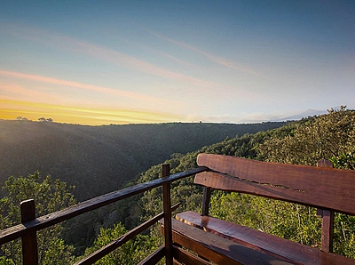 Knysna Forest Sunset